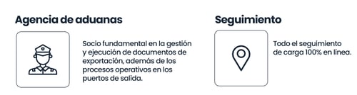 agencia-y-seguimiento