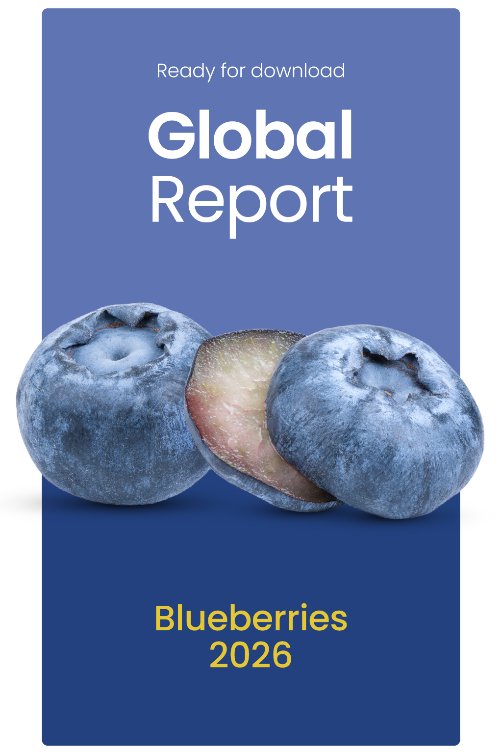 Global Report Blueberries 22026