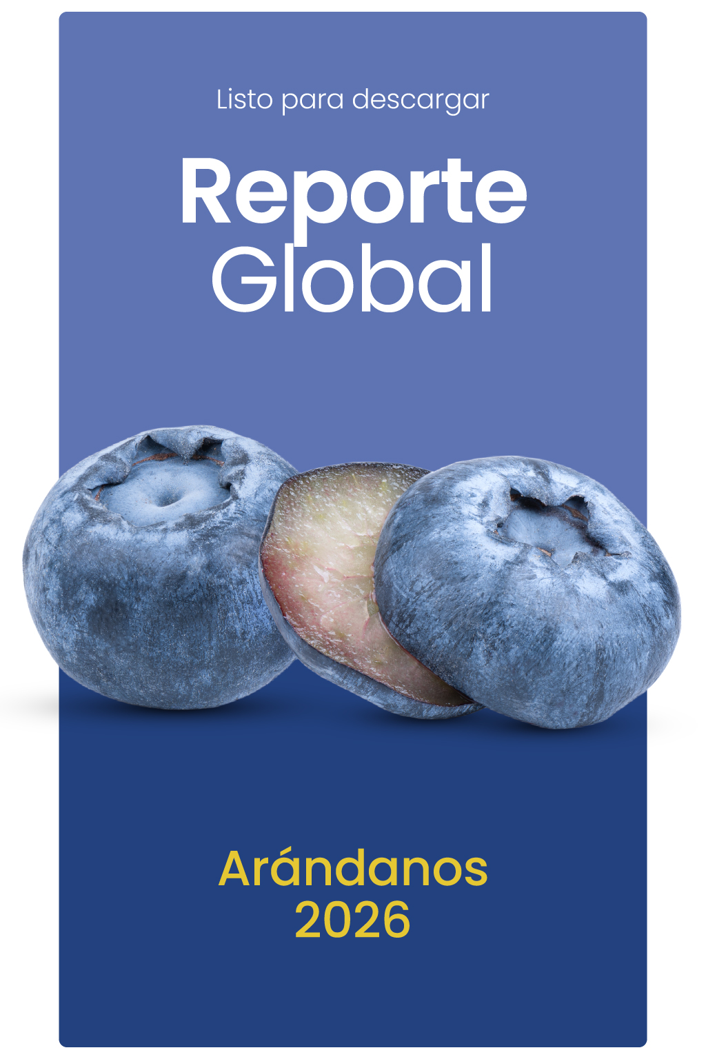 Reporte global Arándanos 2026